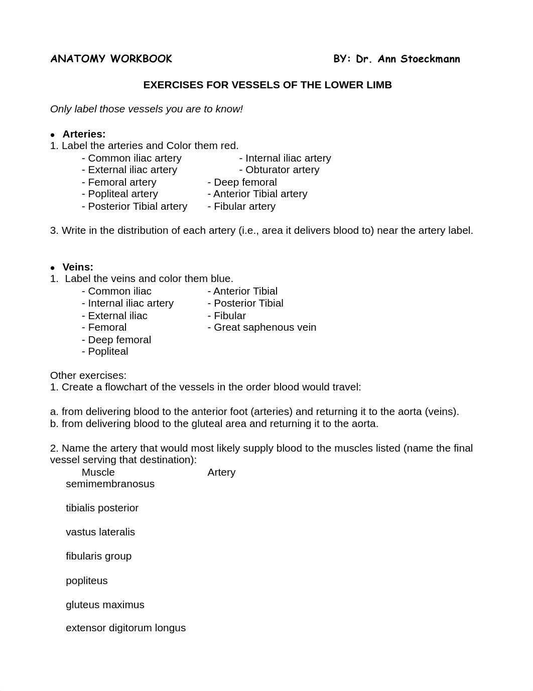 1.9 LL Vessel Labeling Exercises_db50lb9g49t_page1