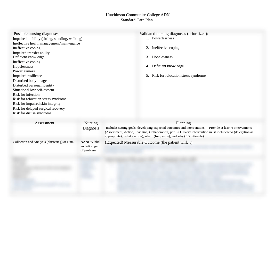 Care Plan 3.docx_db50ol09ixc_page1