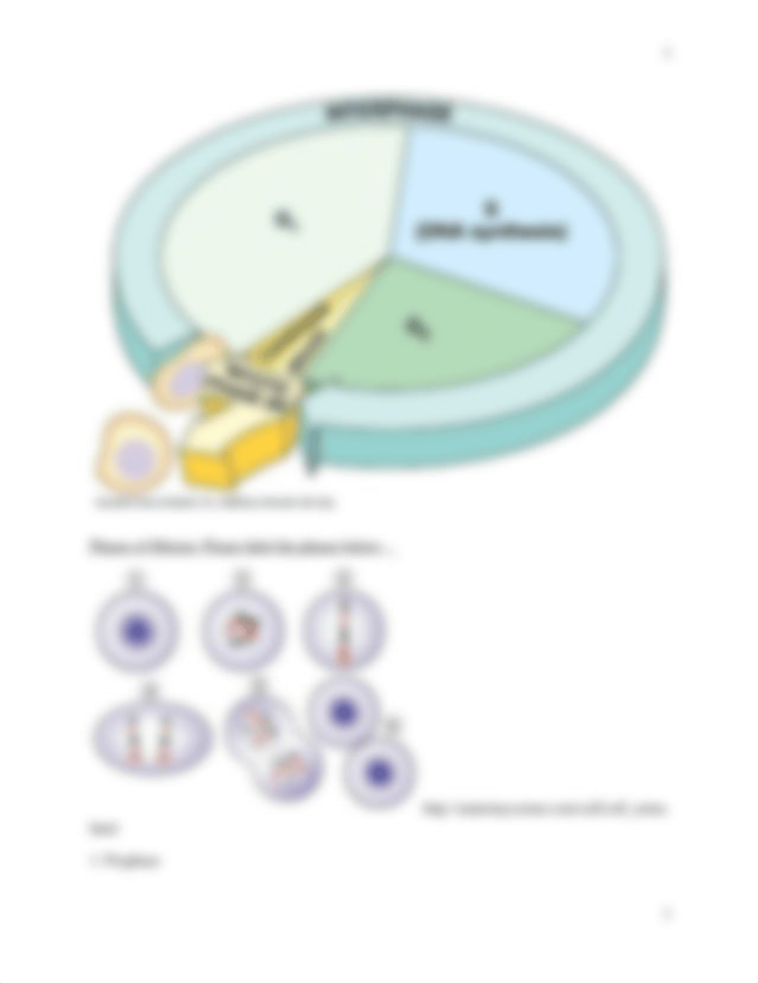 lab 7 complete.docx_db53kxbyau9_page2