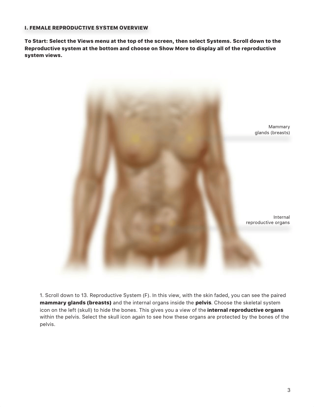 Week #11 - Homework - Female Reproductive System.pdf_db5kq62zw6p_page3