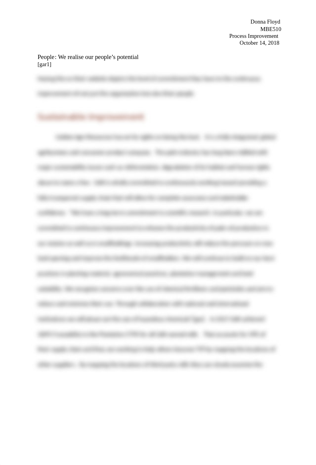 Sustainable Improvement.docx_db5vdo2mwh2_page3