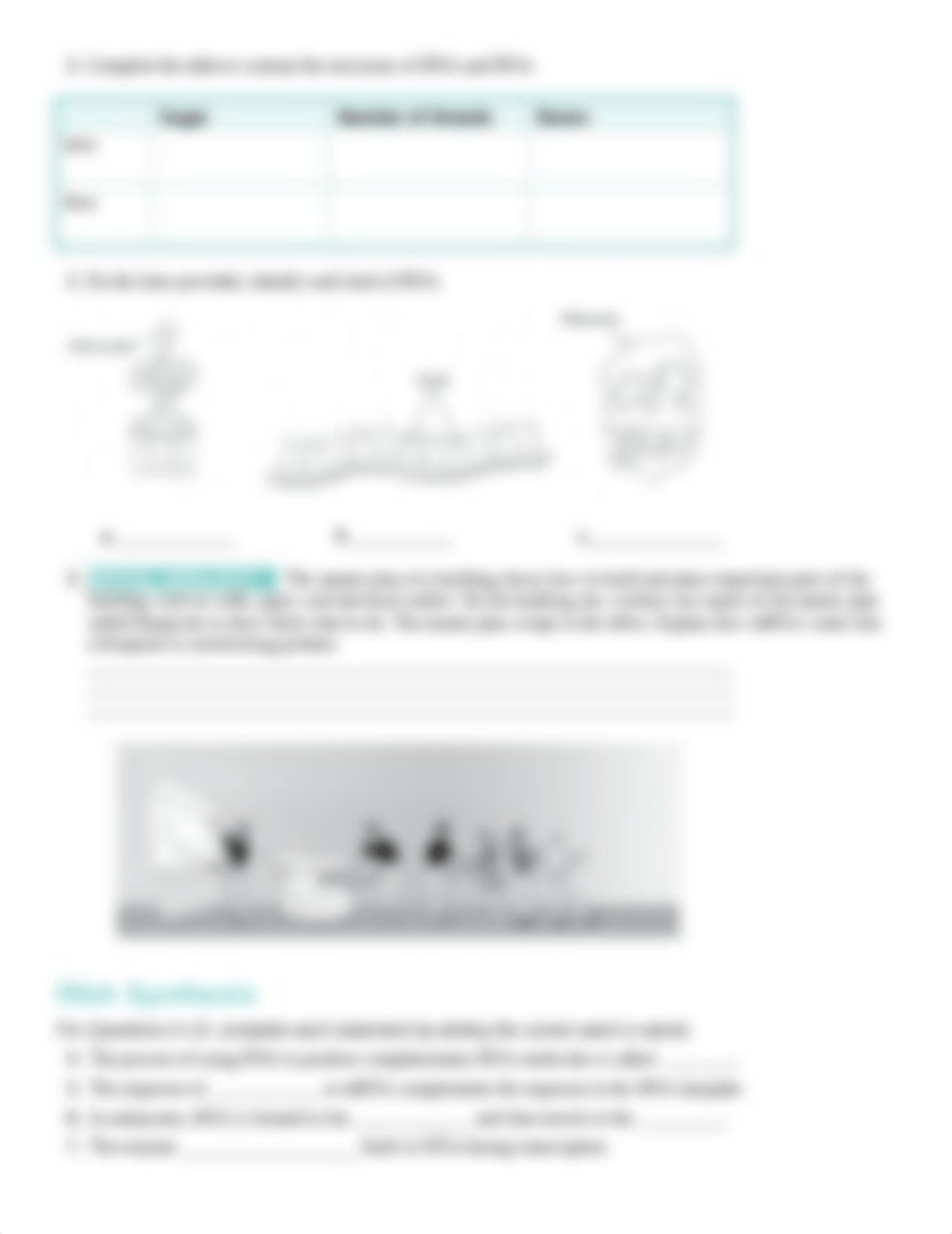 Lesson+13-1+RNA+reading+and+practice.doc_db65kmgh2dr_page2