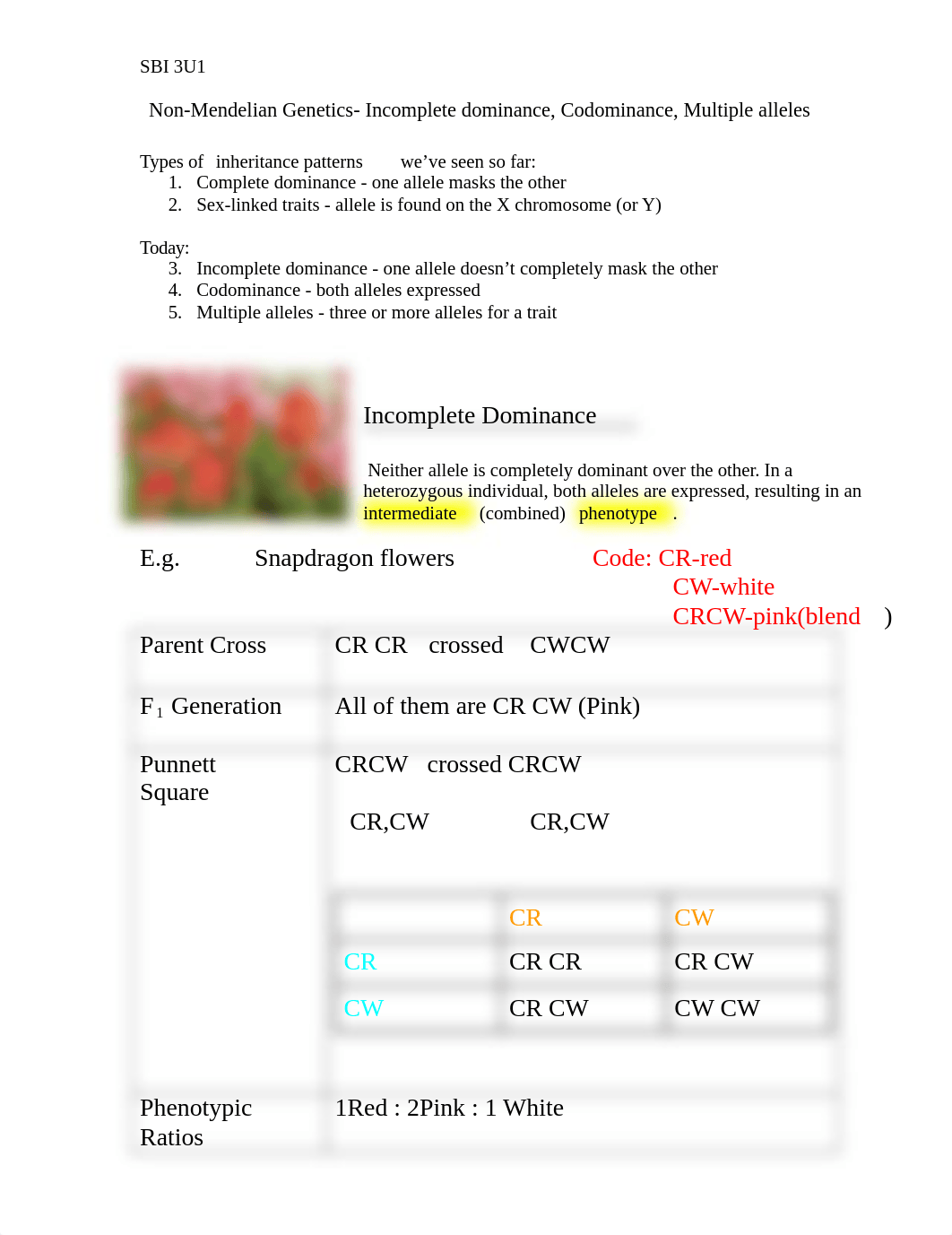 Copy_of_12Non-Mendelian_Genetics-_Incomplete_dominance_Codominance_Multiple_alleles_db67jpodi72_page1