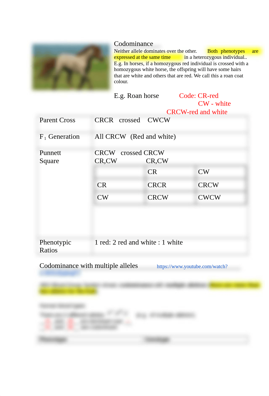 Copy_of_12Non-Mendelian_Genetics-_Incomplete_dominance_Codominance_Multiple_alleles_db67jpodi72_page2