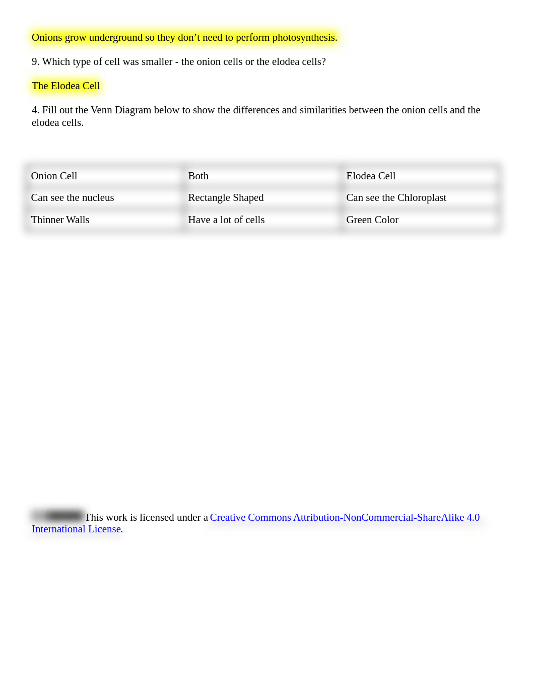 Plant_cell_lab_worksheet_1-1_db680jk4lle_page2