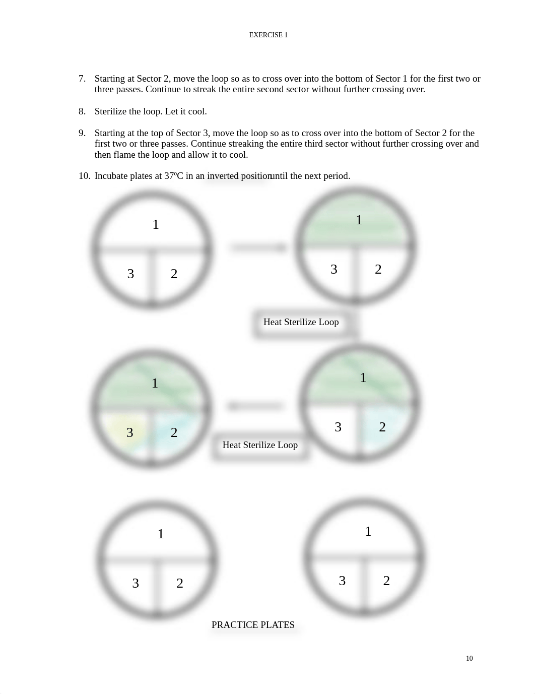 ISOLATION_OF_PURE_BACTERIAL_COLONIES_db69w9ve1jy_page2