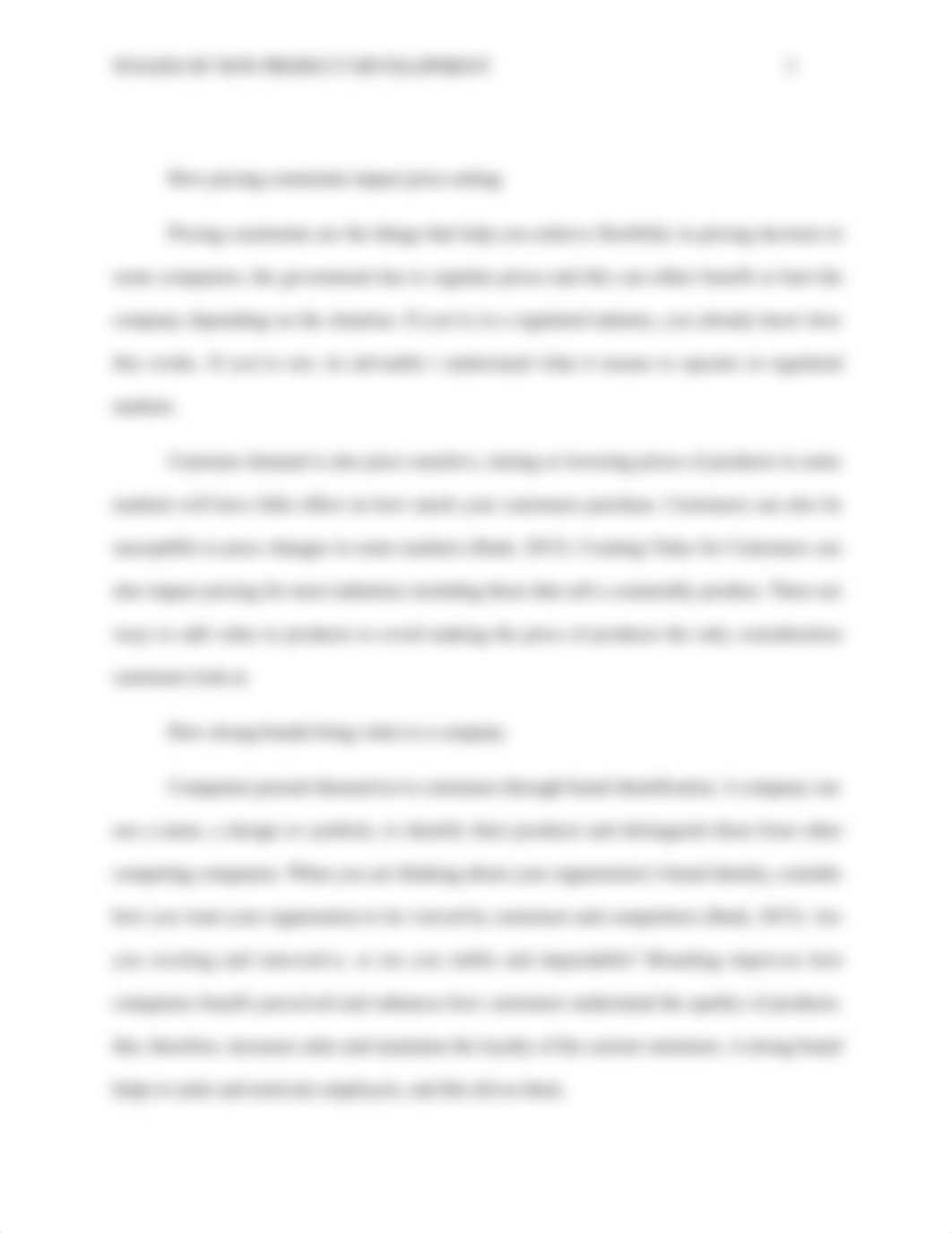 Stages of New Product Development.docx_db6erupttt8_page3