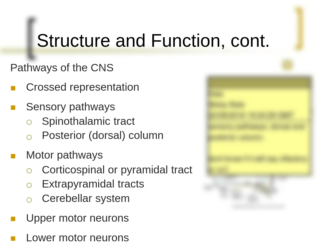 chap23.ppt-Jarvis_Neuro_db6f3e0ogyx_page3