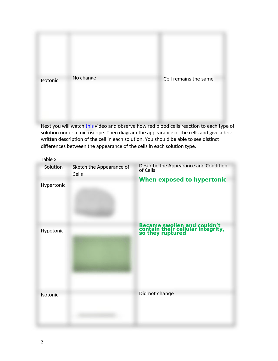 Osmosis-1 (2) LAB.docx_db6im395yp1_page2