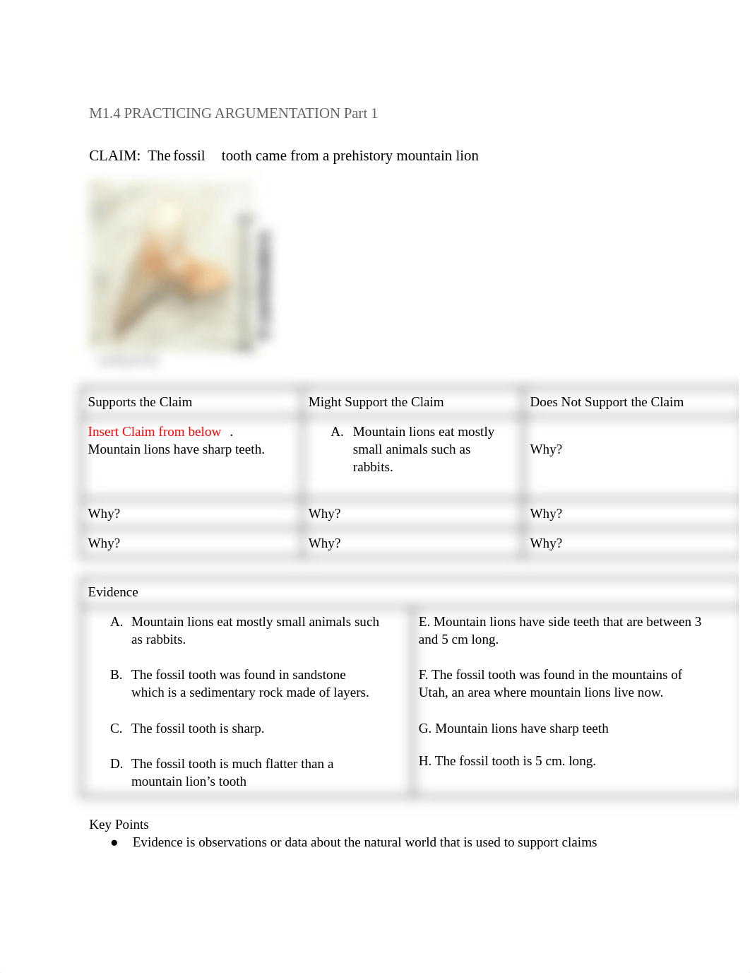 Mdule 1.4 Argumentation -1 (1).docx_db6rckm4zkf_page1