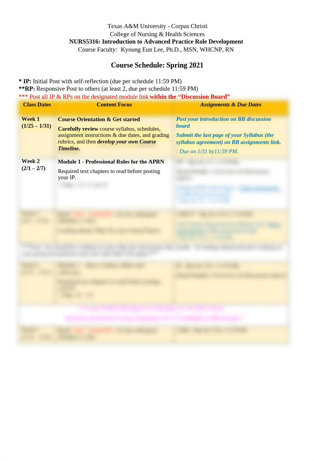 N5316 Course Schedule-Spring21-K.Lee.pdf_db6xet4jd1o_page1