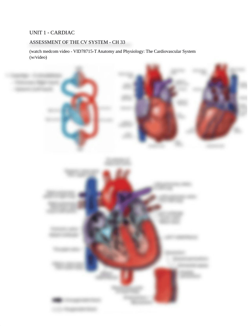 UNIT 1 Study Guide.pdf_db700zzk1nw_page1