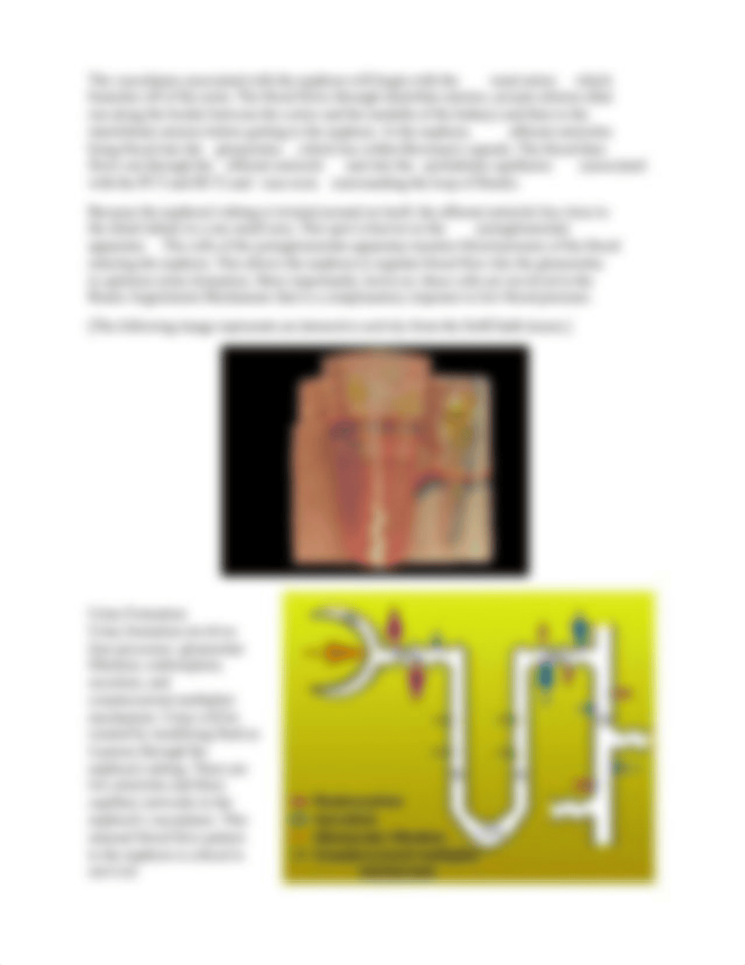 Printer - Urinary 2015 (1)_db73awrgn10_page3