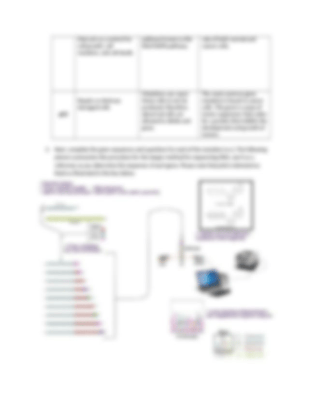 Nucleotide and Gene Mutation Lab updated with answers.docx_db73elh7cbi_page2