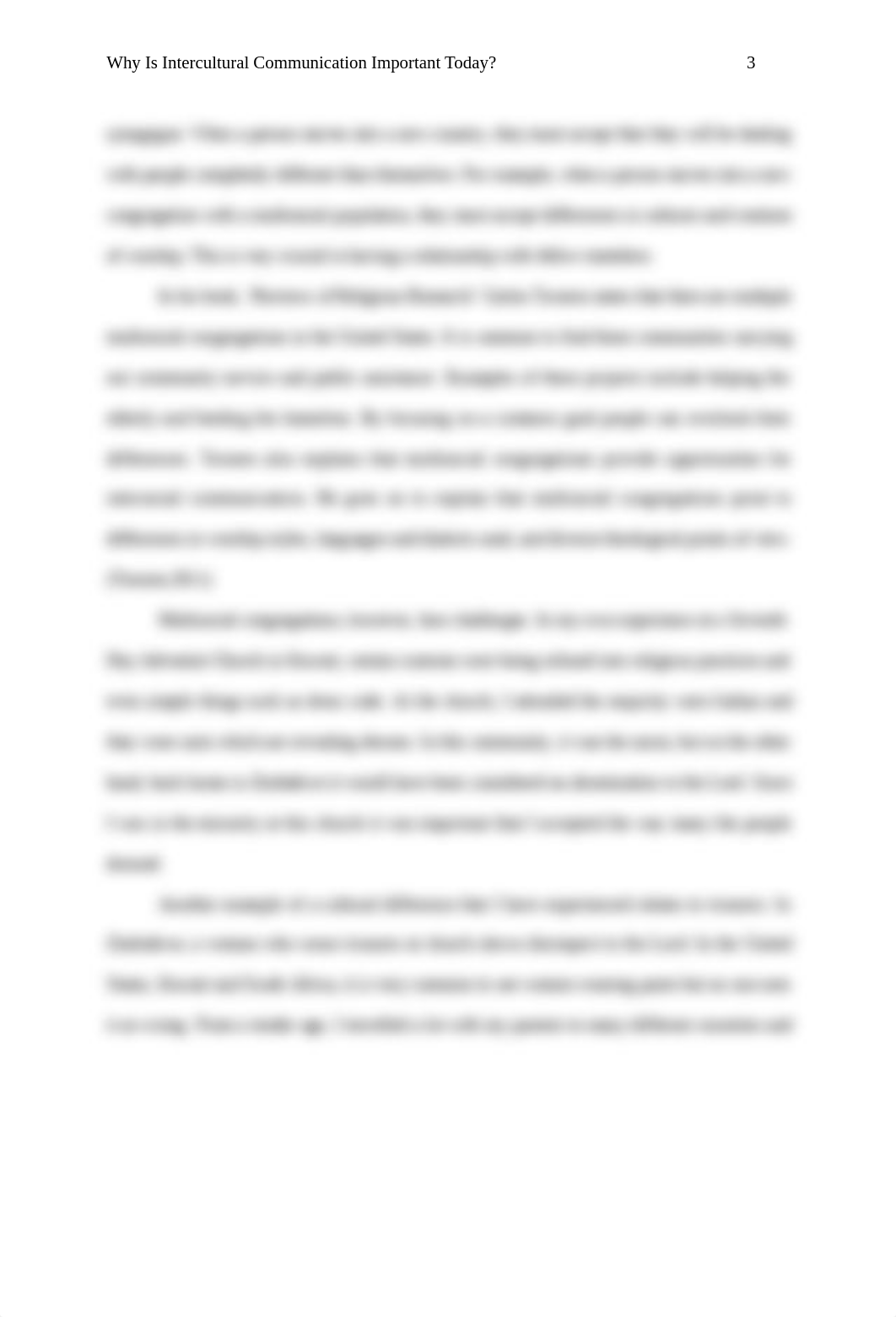 Yemurai Mberi final paper intercultural communication_db73i2c3jbg_page4