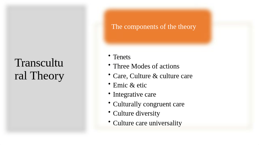 FINAL Emerging Nursing Theory Presentation-2.pptx_db73idk7n57_page3