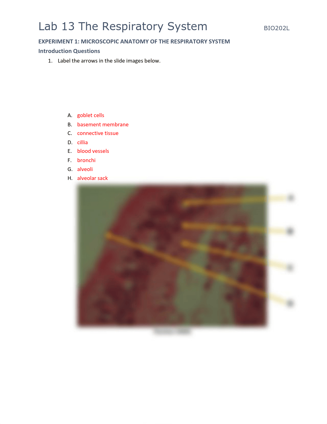 BIO202 Lab 13 (1).pdf_db74fvrqaza_page2