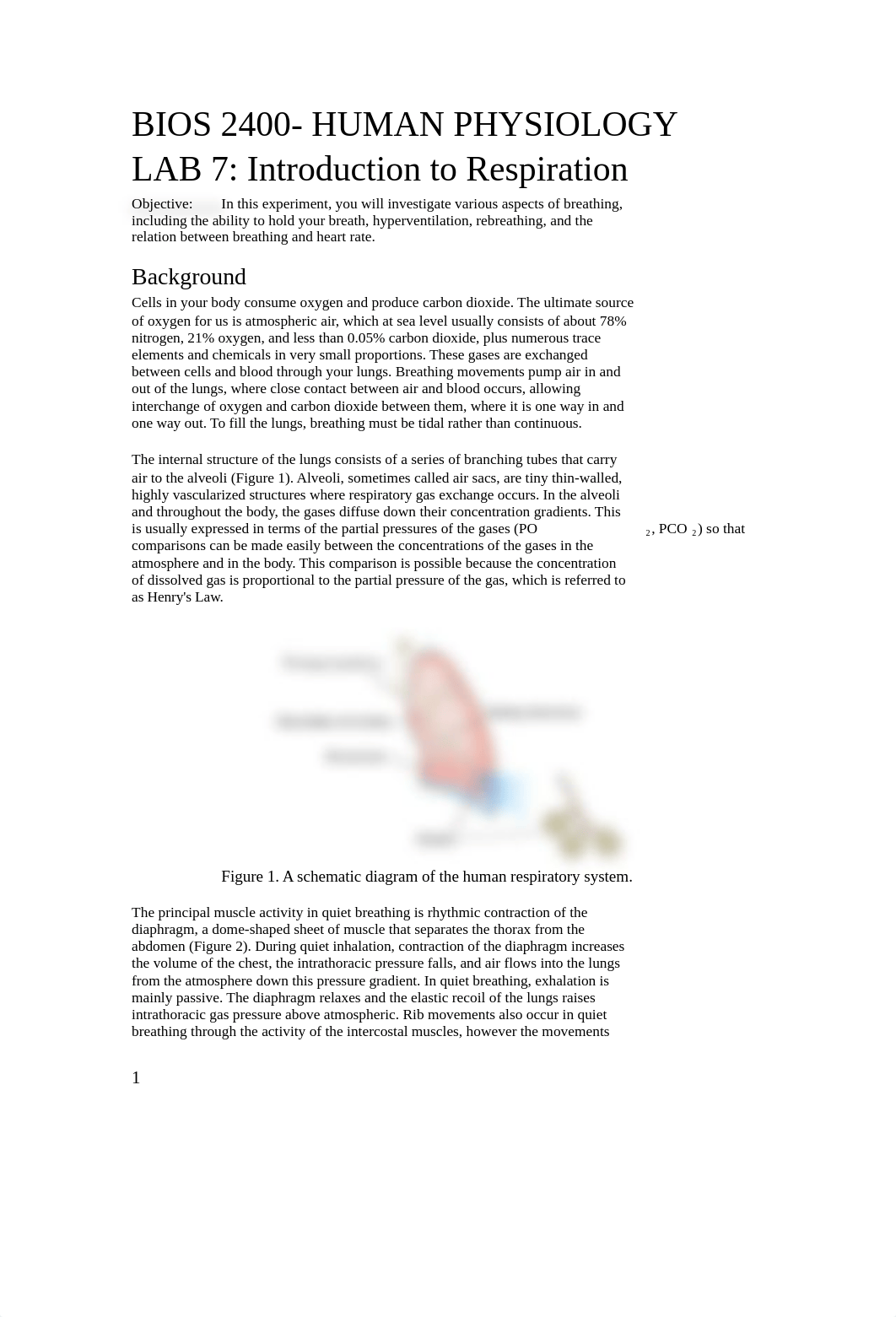 Lab #7 - respiratory.docx_db785qkngu4_page1