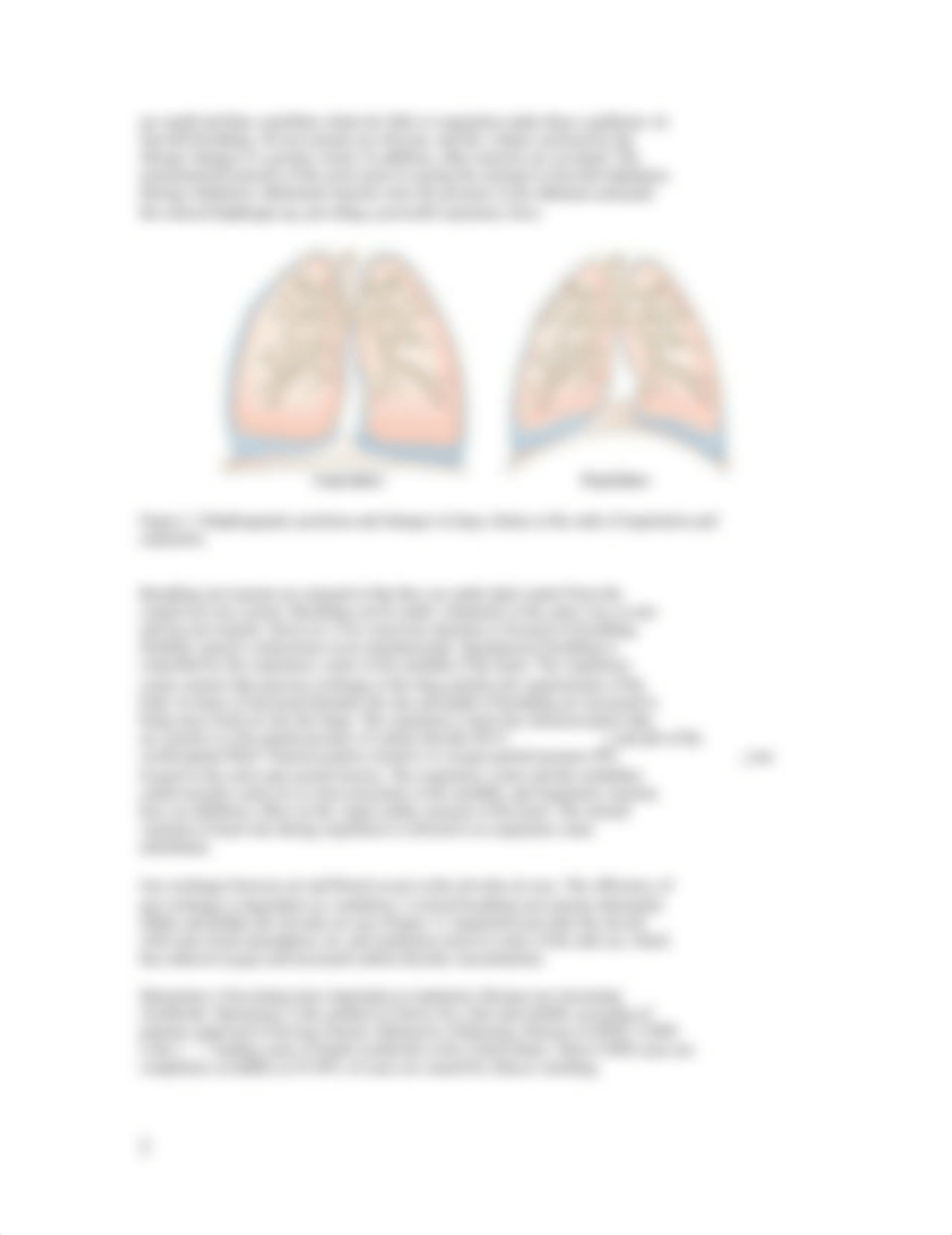 Lab #7 - respiratory.docx_db785qkngu4_page2