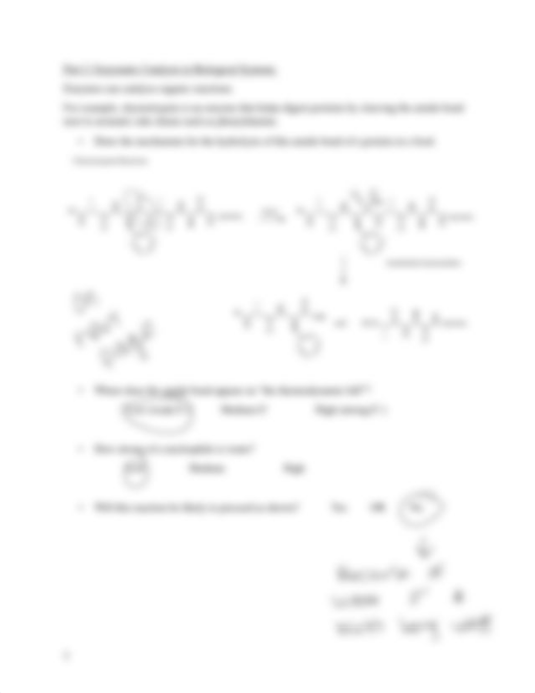 Week 11 Enzyme Catalysis.pdf_db7omwqbtt7_page3