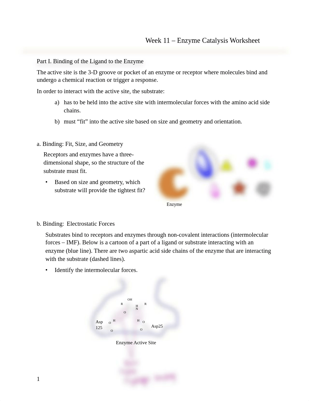 Week 11 Enzyme Catalysis.pdf_db7omwqbtt7_page1