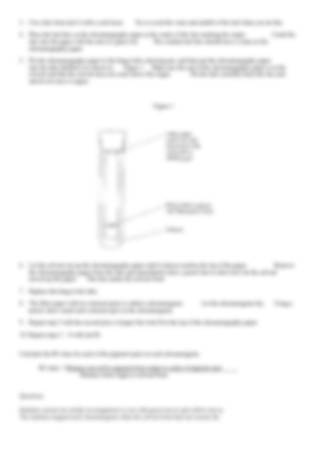 Questions on the chromatography practical no ms.docx_db80xu1yfsf_page2