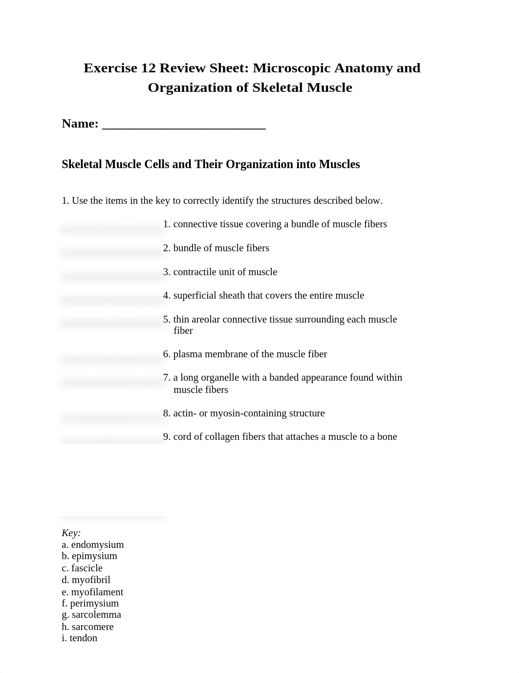 Ex12 Review sheet - Microscopic Anatomy and Organization of Skeletal Muscle .docx_db82gt0a1zl_page1