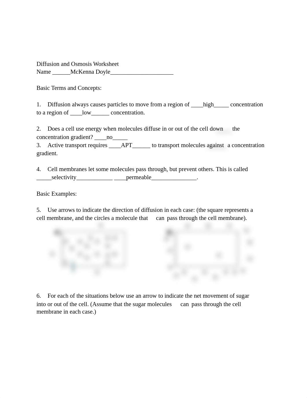 Diffusionworksheet.docx_db8avkfw0kp_page1