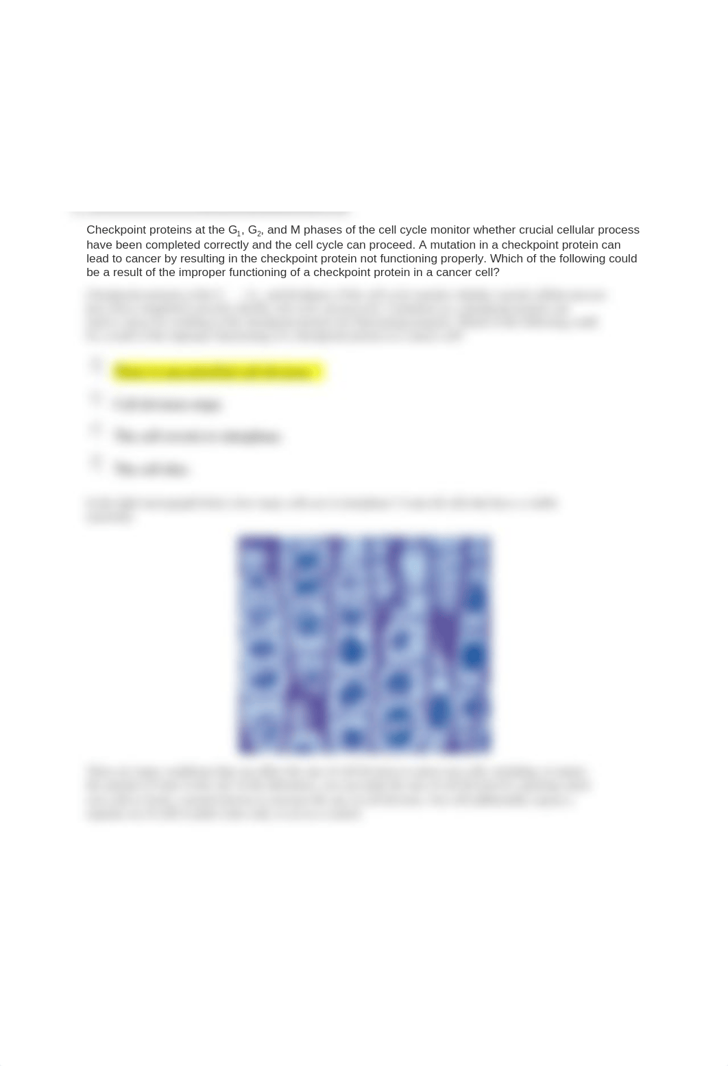 Lab 9 Mitosis and Meiosis.docx_db8h1pf62jj_page3