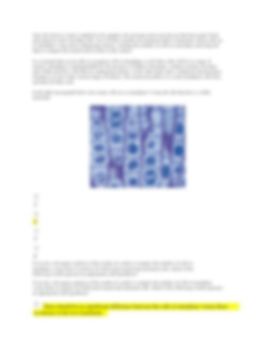 Lab 9 Mitosis and Meiosis.docx_db8h1pf62jj_page4