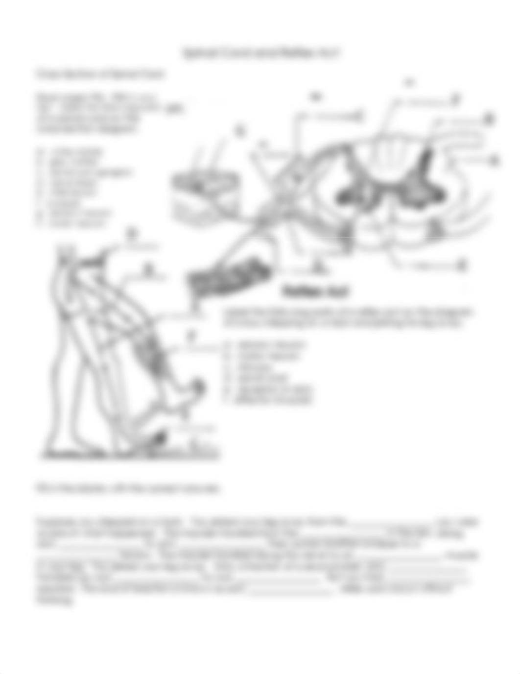 nervous system worksheet.pdf_db8hn5i8au3_page3