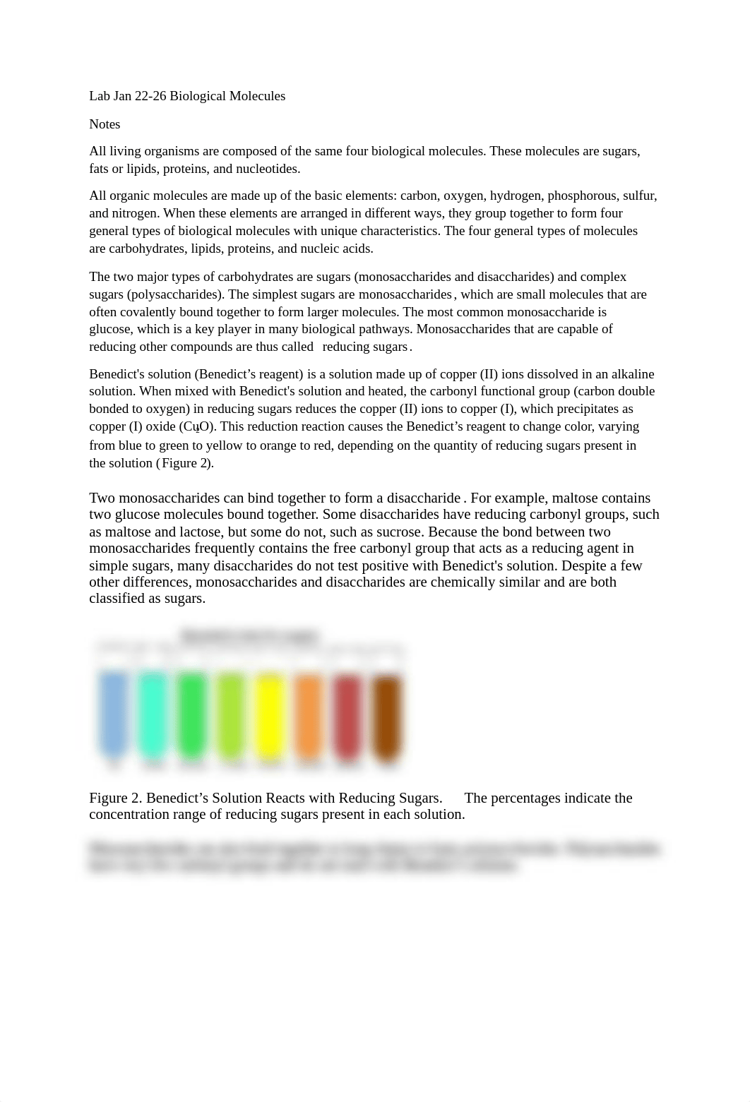 Lab Biological Molecules.docx_db8jr6xgrs3_page1