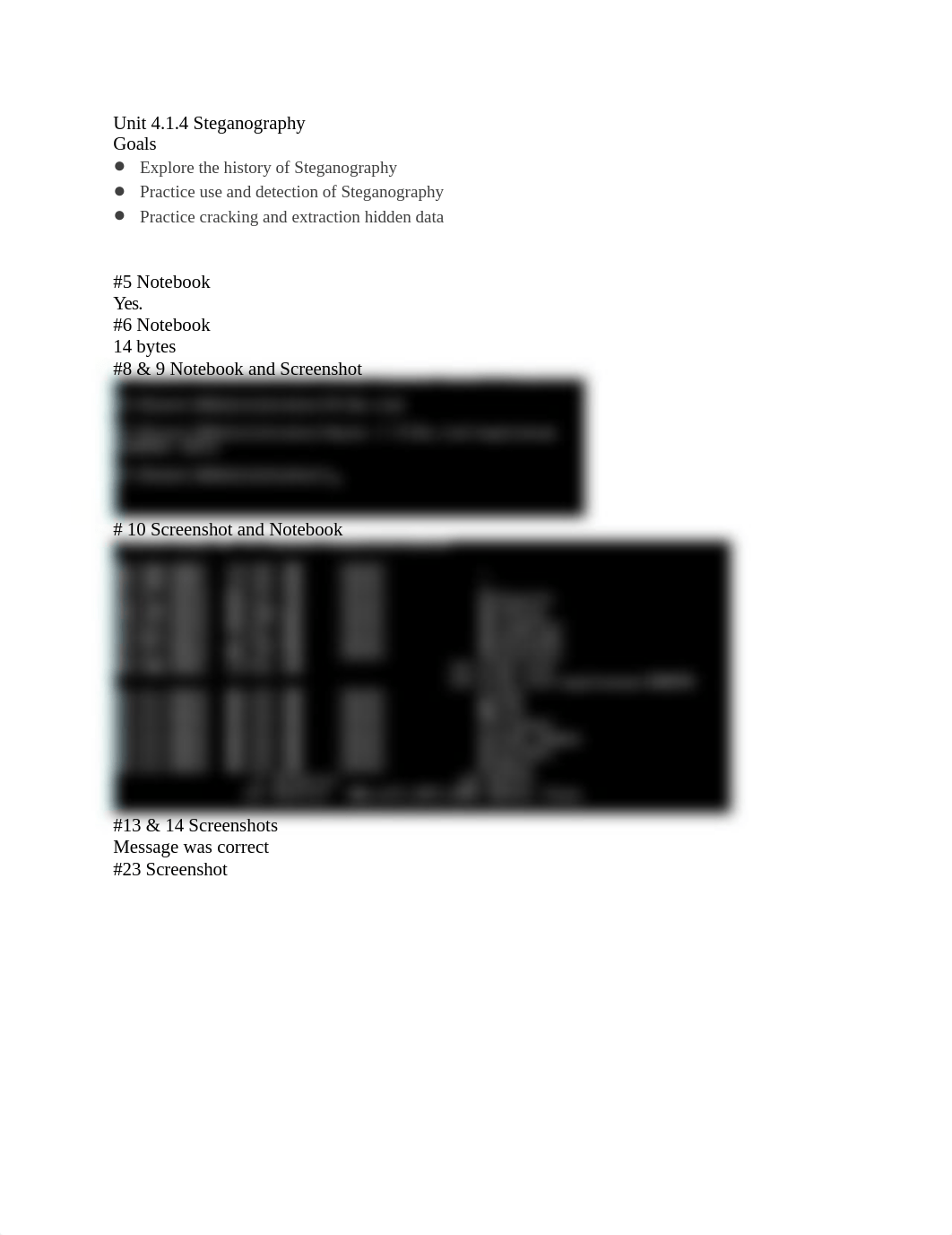 Unit 4.1.4 Steganography.docx_db8m4etq5x2_page1