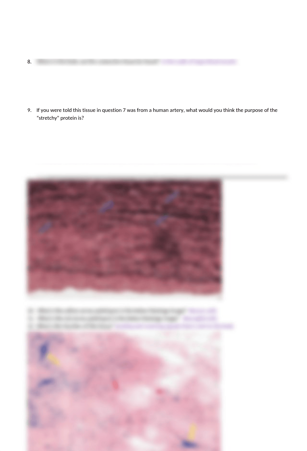 Histology Lab Assignment 6-4-20.docx_db8me2nw3lc_page2