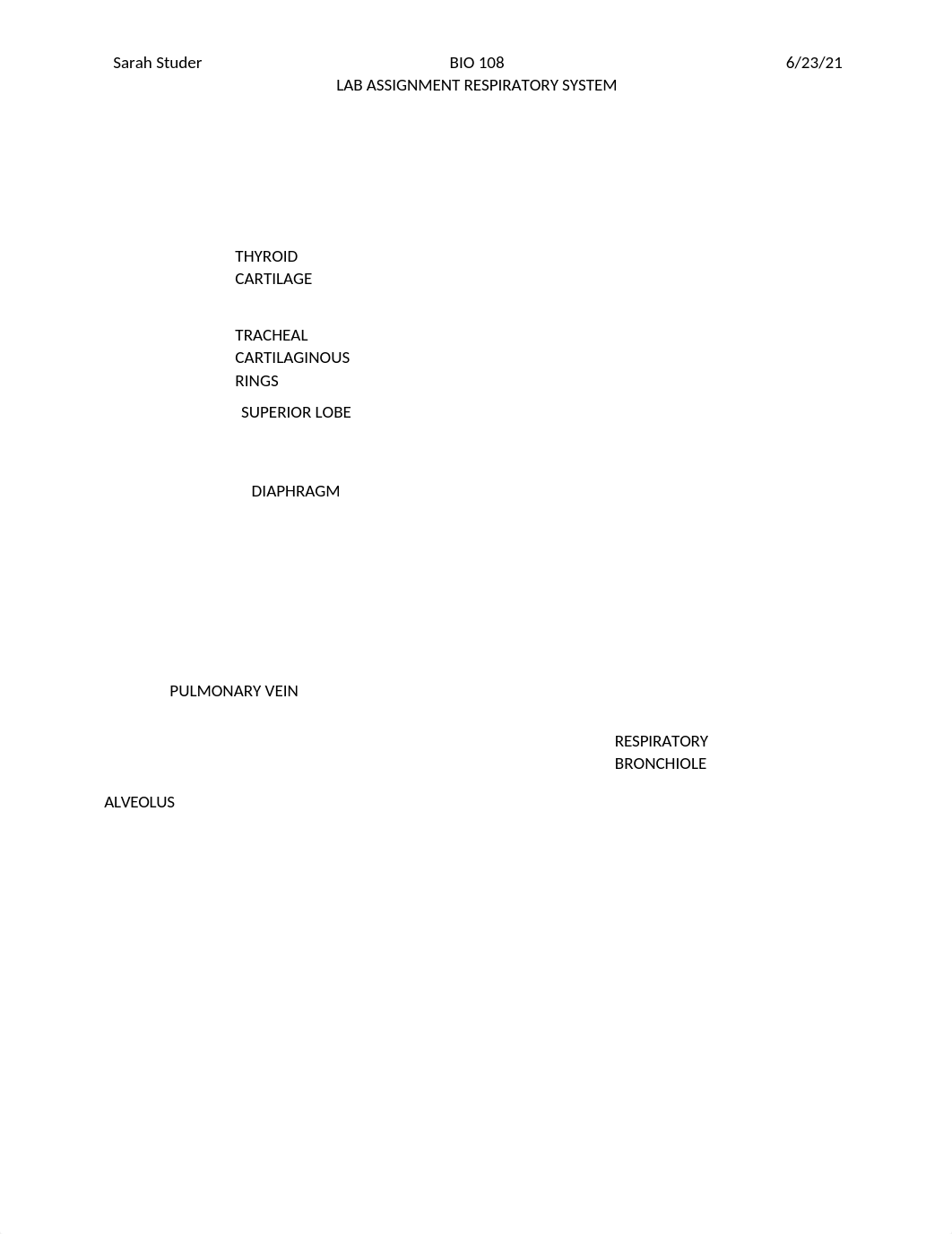 Lab assignment Respiratory System.docx_db8thskshmk_page1