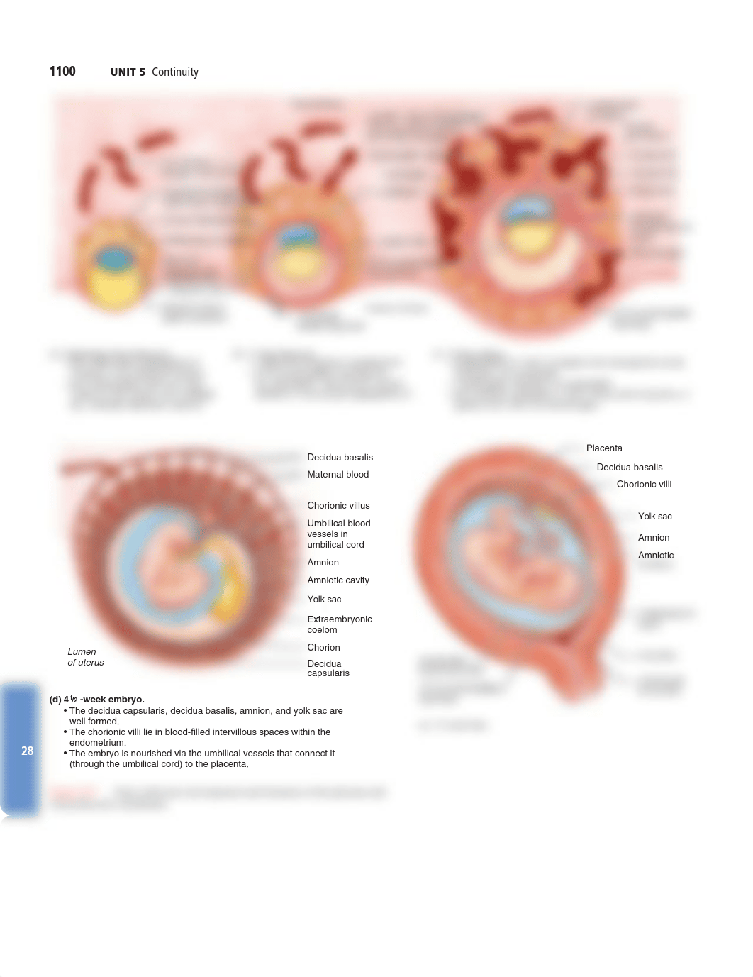 1100.pdf_db95s9tj6n6_page1