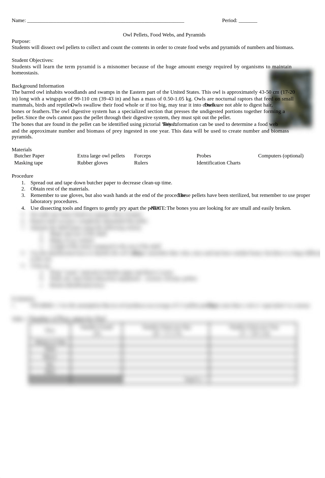 Owl Pellets Food Webs Energy Transfer (2).doc_db95vwmbsdr_page1