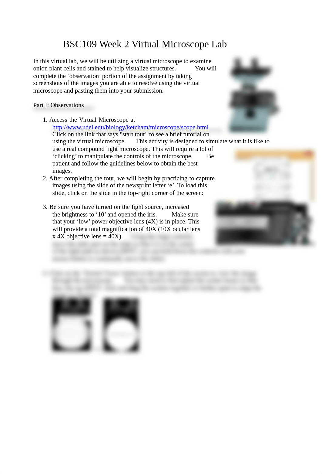 BSC109 Week 2 Virtual Microscope Lab.pdf_db9dvx4sxhj_page1