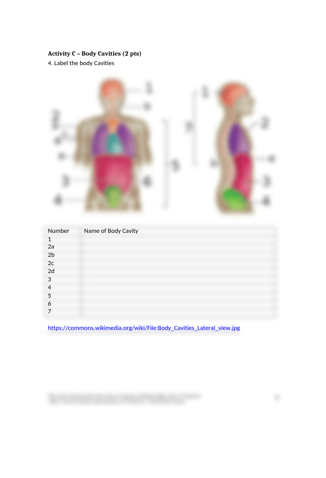 Lab 1_Assignment.docx_db9hfnvpgak_page4