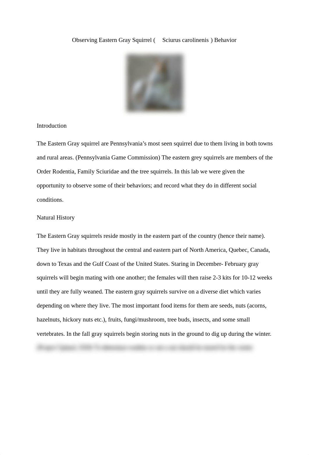 Squirrel lab report.docx_db9j40dvtbf_page1