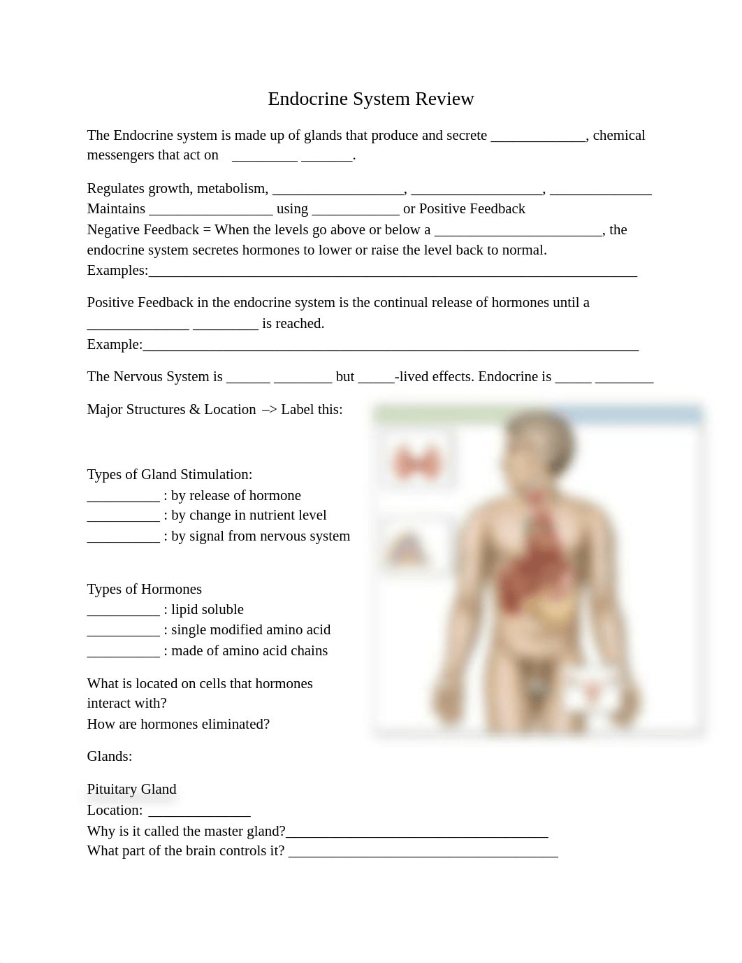 Endocrine System Review.pdf_db9qbxhv2bv_page1