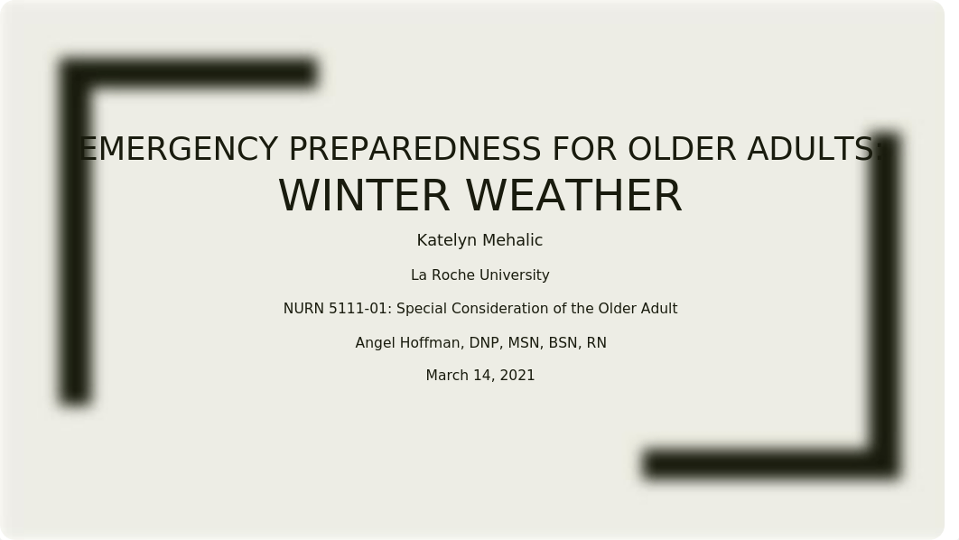 Emergency Prepardness for Older Adults- winter weather.pptx_db9tajdhjon_page1