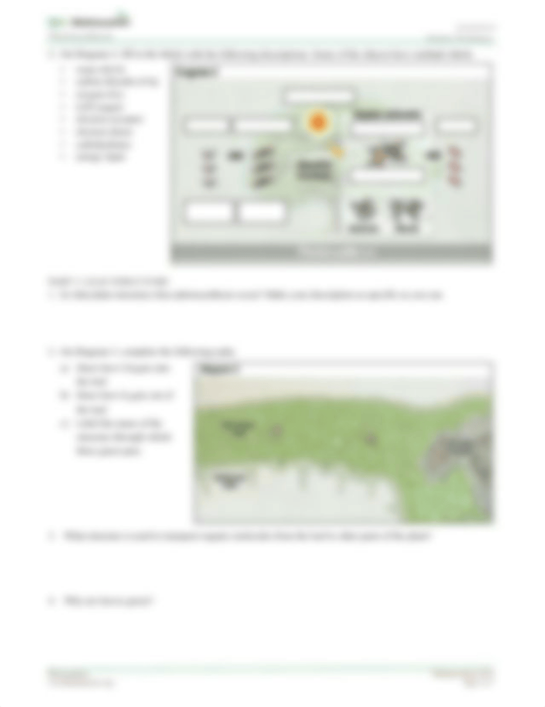 Photosynthesis - HHMI - Student WS-1(1) (1).pdf_db9uxxrt1wf_page2