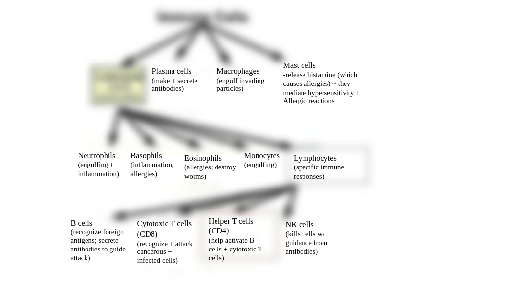 232 Unit 2 ppt notes.pdf_db9zn1ne00q_page2