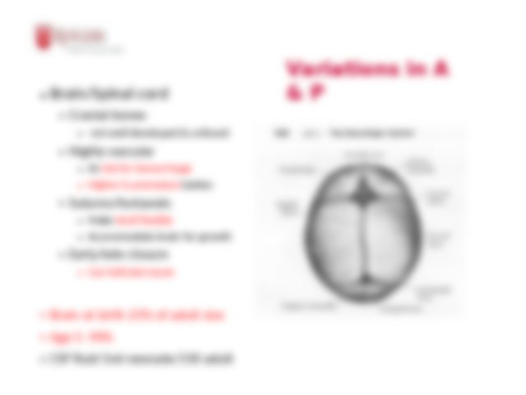 Neurologic.pptx_dba0l7fn251_page3