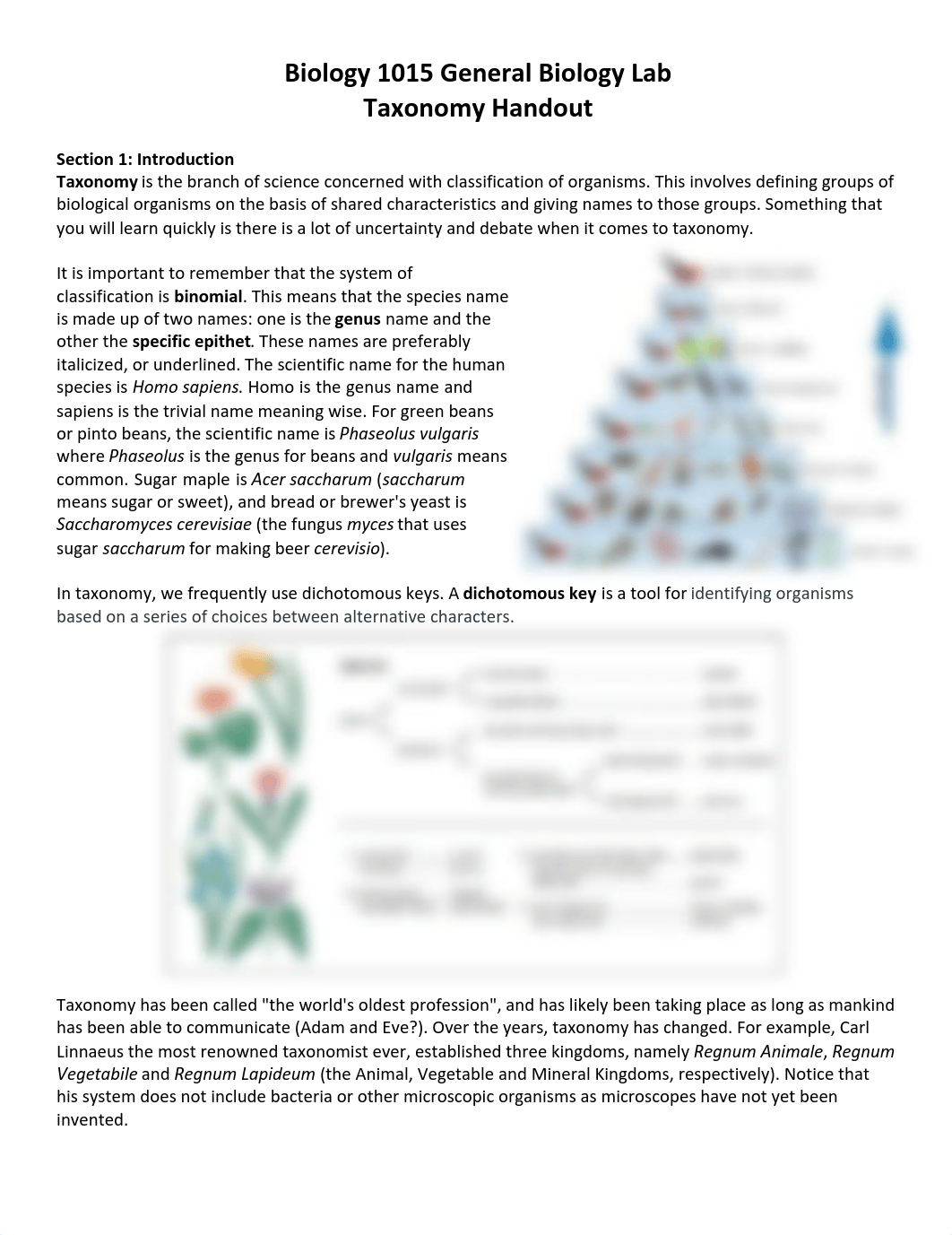 Taxonomy handout-1.pdf_dbac2ujqfqm_page1