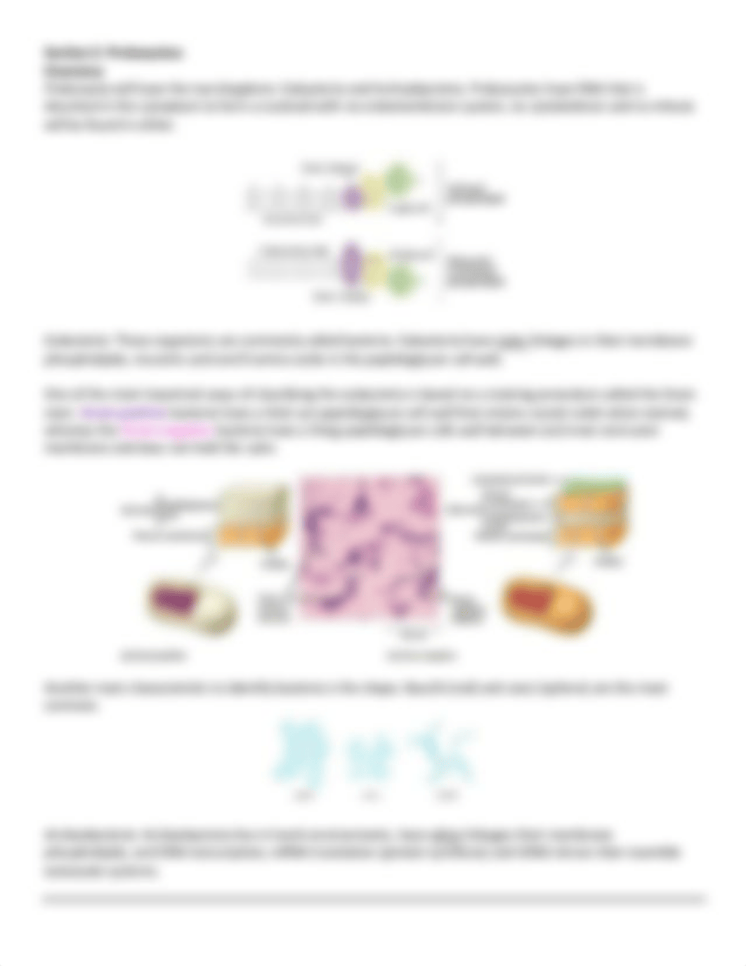 Taxonomy handout-1.pdf_dbac2ujqfqm_page3