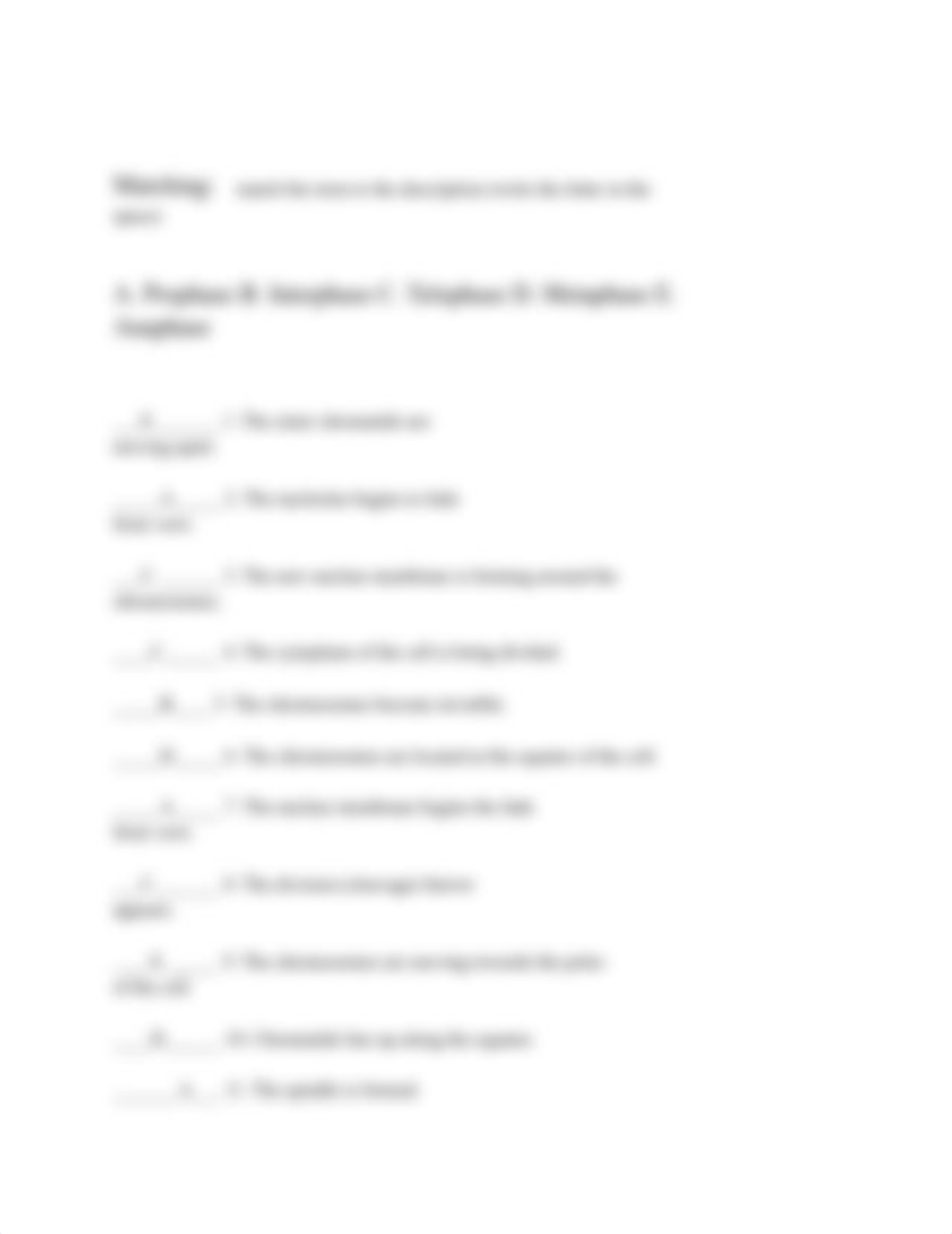 Activity 8-Cell Cycle and Mitosis_Spring 2020 (3).pdf_dbaillfecpl_page3