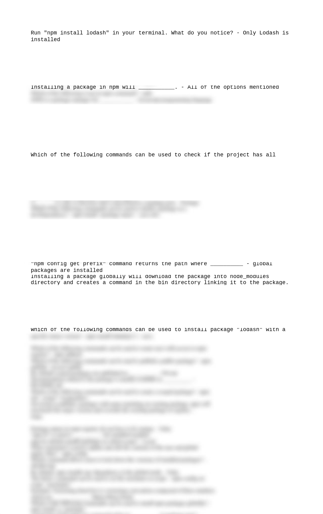 NPM Package Manager Q&A.txt_dbau2zl65hz_page1