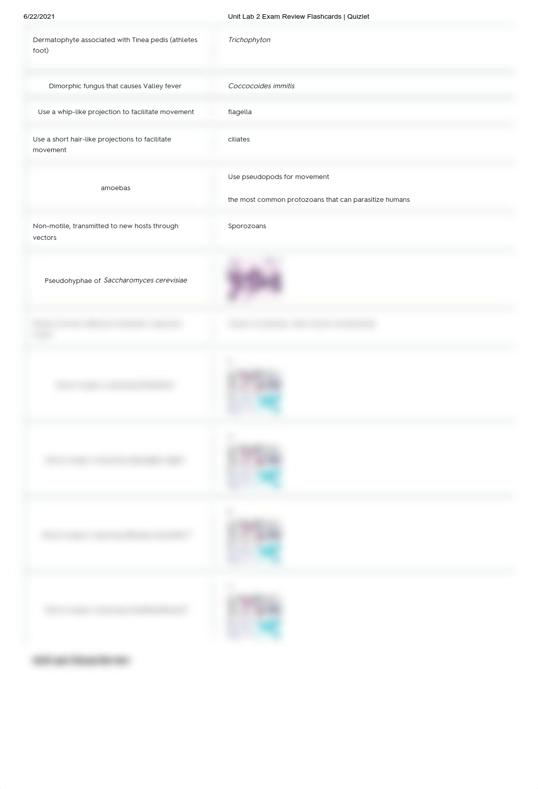 Unit Lab 2 Exam Review Flashcards _ Quizlet.pdf_dbaxhieaeis_page2